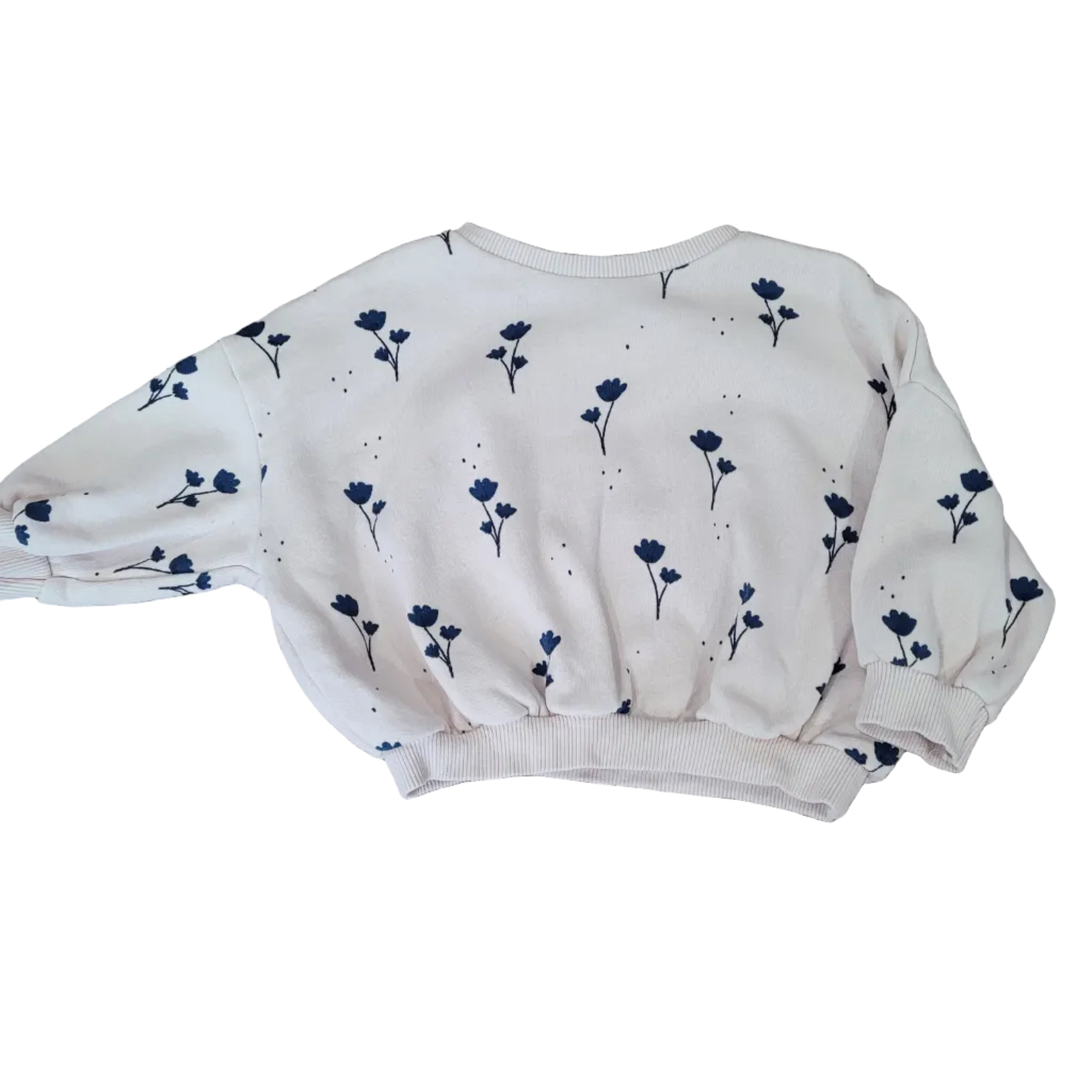 Zara - crewneck - 9-12 mois