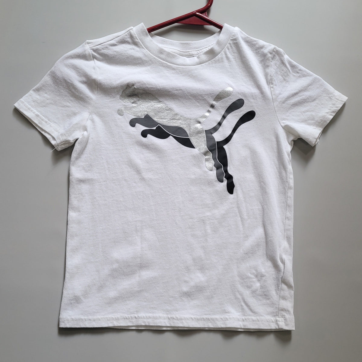 Puma - 6 ans