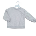 Zara - crewneck - 2/3 ans